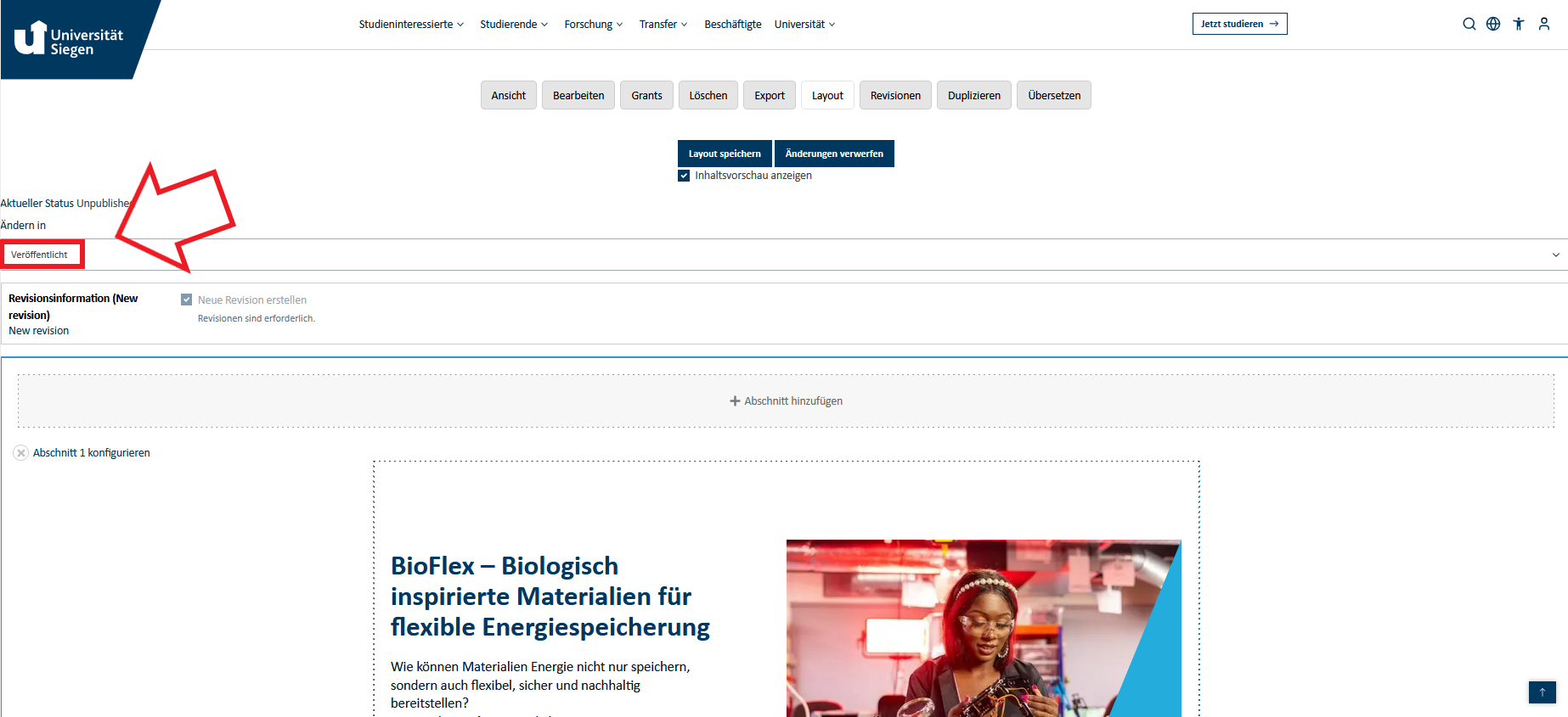 Projekt veröffentlichen.PNG