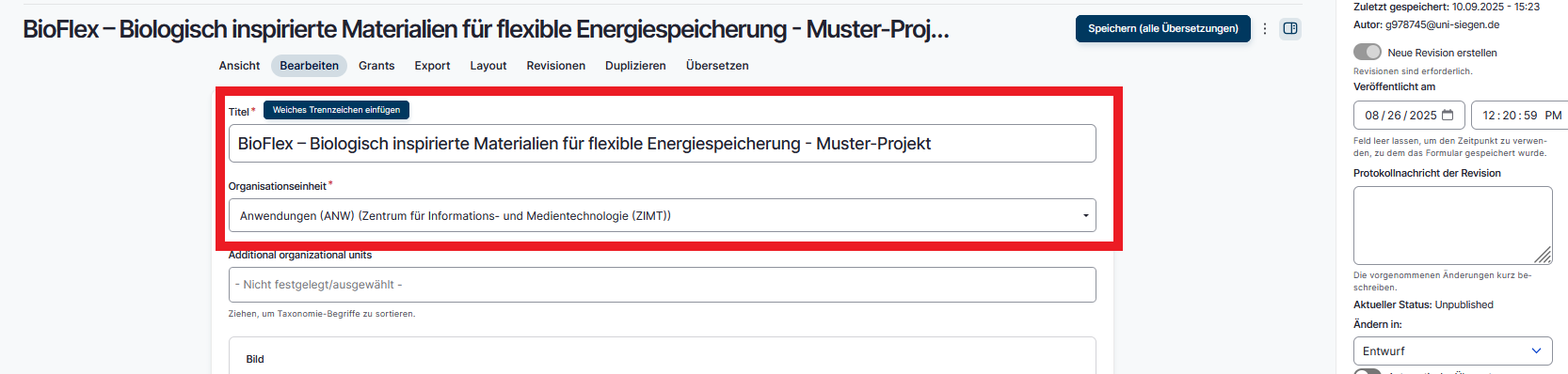 Projekt Titel und Orga.png